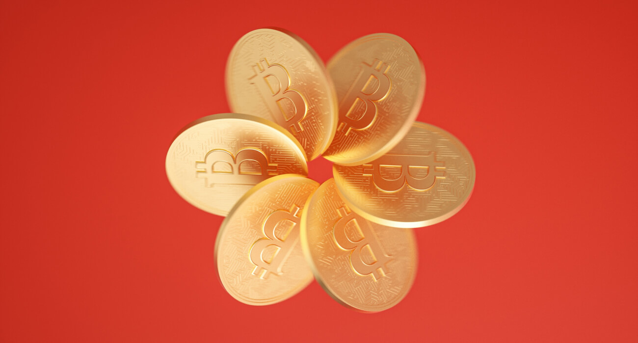 Software Wallets blog 12