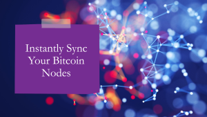 Bitcoin Nodes 